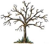 T-58-HK Spooky Tree